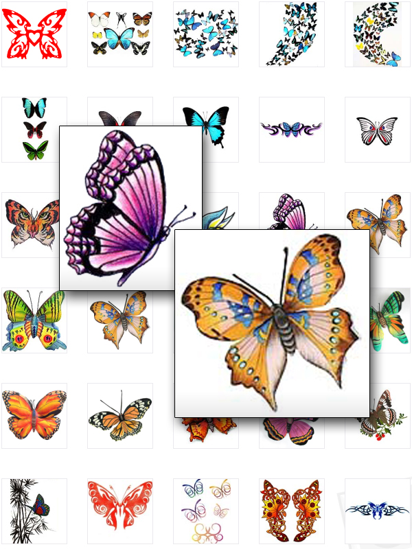 schmetterlings Tattoo 2